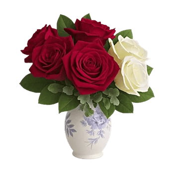 Radiant Rose Symphony