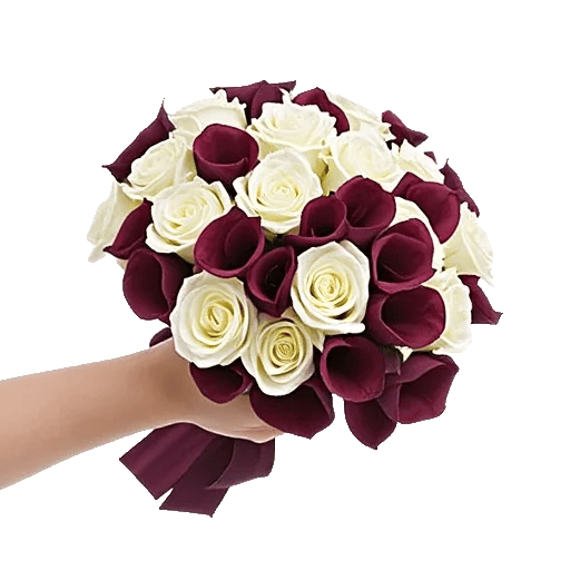Elegant Calla Lilies
