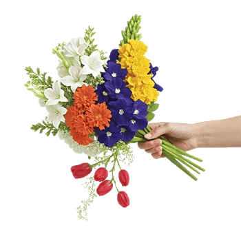 Blossom Harmony Display