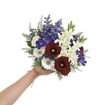 Modern White Orchids