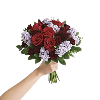 Crimson Rose Elegance
