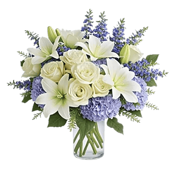 Ivory Blossom Radiance