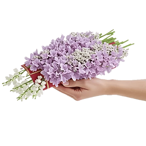 Ivory Blossom Radiance