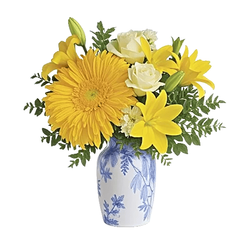 Minimalist White Orchids