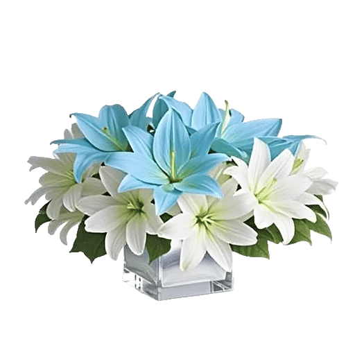 Graceful Lily Display