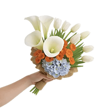 Elegant Calla Lilies