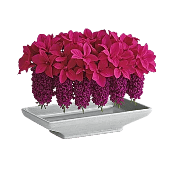 Blush Romantic Centerpiece