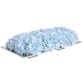 Delicate Petal Cascade