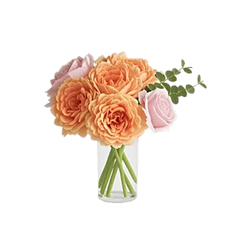 Petal Radiance Bliss