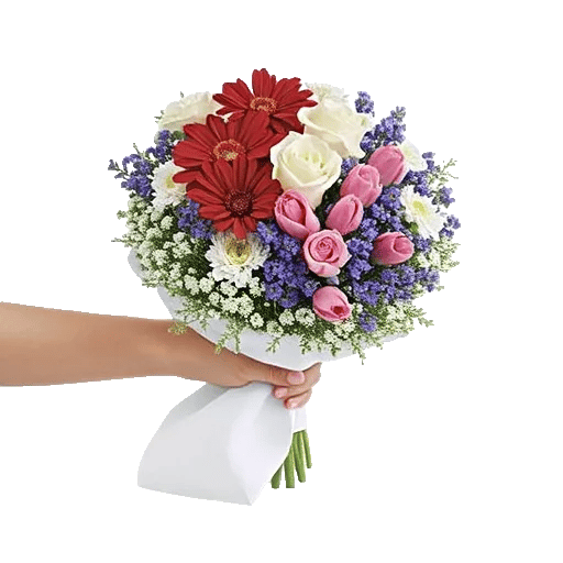 Blossom Petal Serenity