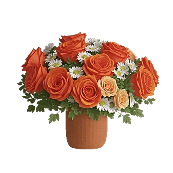 Petal Radiance Bliss