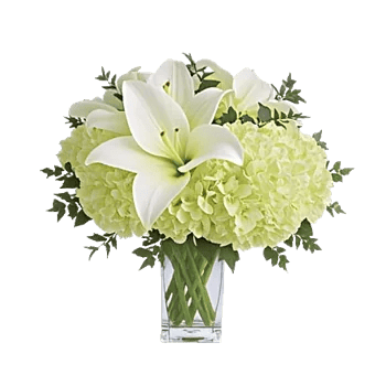 Serene Lily Cascade