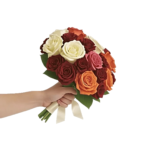 Blushing Rose Symphony