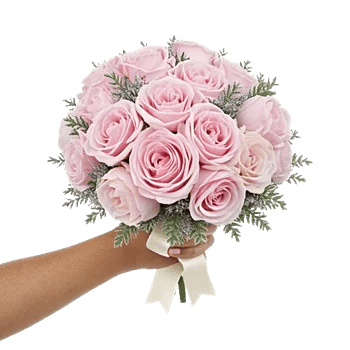 Pastel Pink Roses