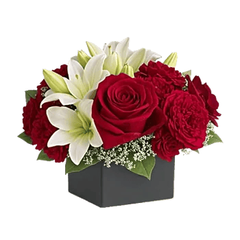 Crimson Rose Elegance