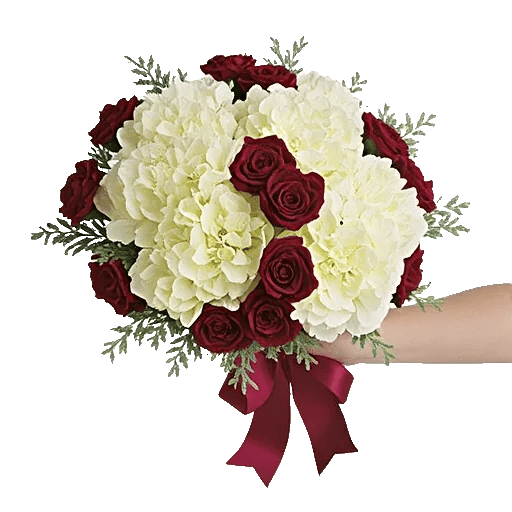 Ivory Garden Grace