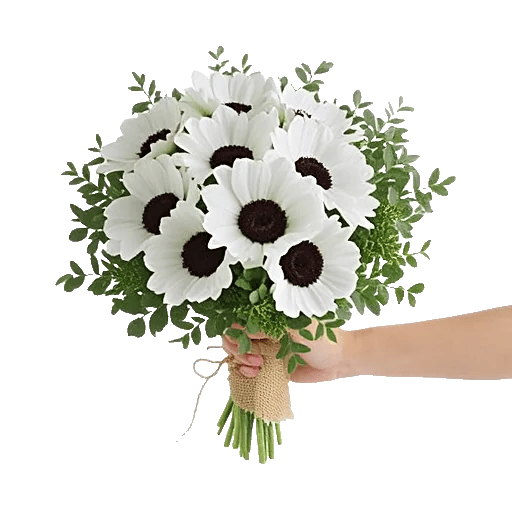 Modern White Orchids