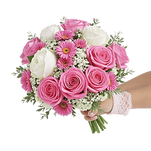 Pastel Pink Roses