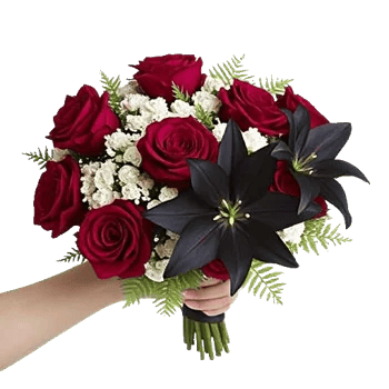 Crimson Rose Elegance