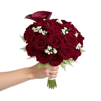 Elegant Calla Lilies