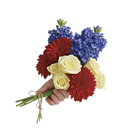 Serenity Blossom Grace