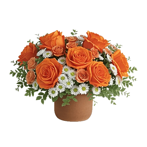 Petal Radiance Bliss