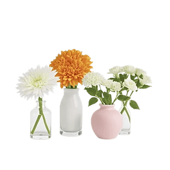 Ivory Blossom Radiance