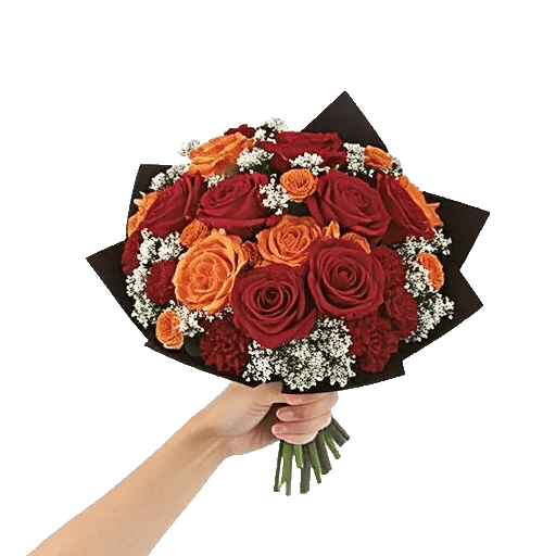 Crimson Rose Elegance