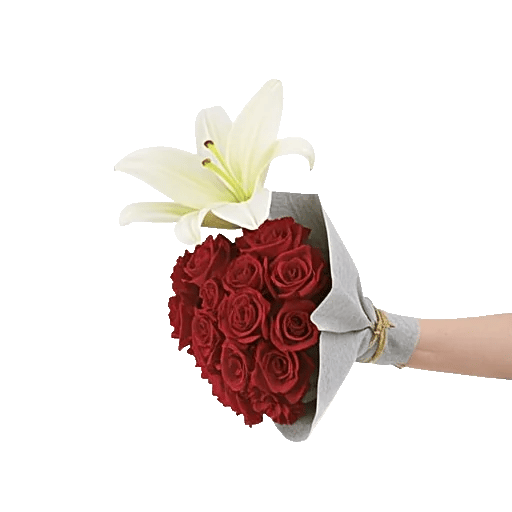 Crimson Rose Elegance