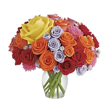 Radiant Rose Symphony
