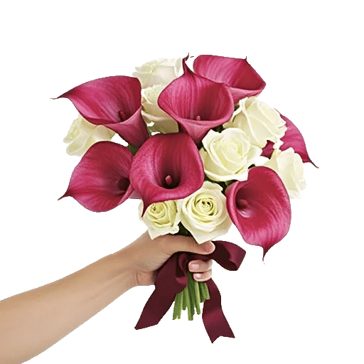 Elegant Calla Lilies