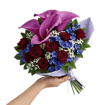 Elegant Calla Lilies