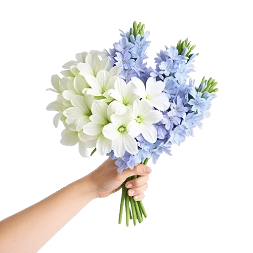 Blossom Petal Serenity