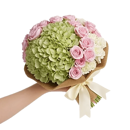 Serene Petal Harmony