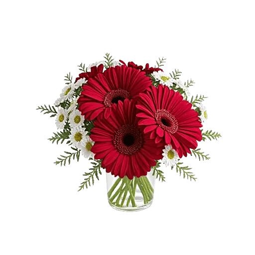 Tulip Rose Mix