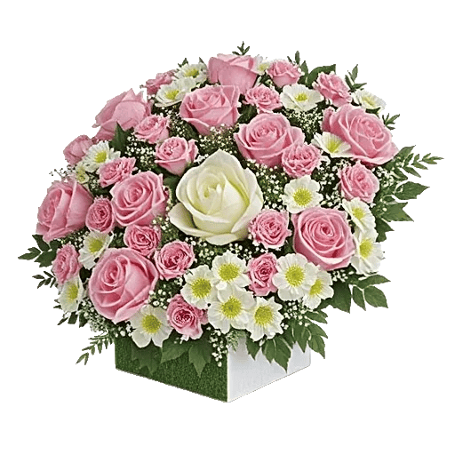 Blossom Grace Spread