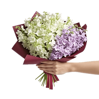 Ivory Blossom Radiance