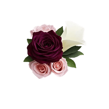 Elegant Calla Lilies