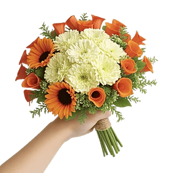 Petal Harmony Bliss