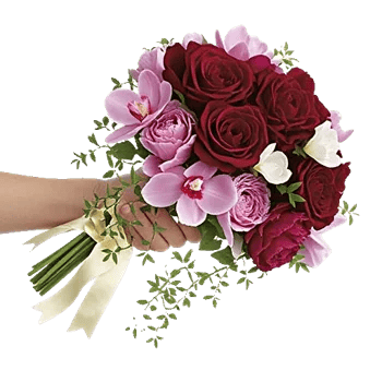 Delicate Petal Cascade