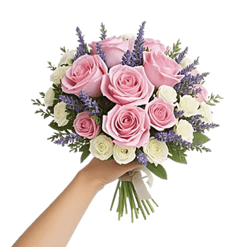 Blushing Rose Symphony