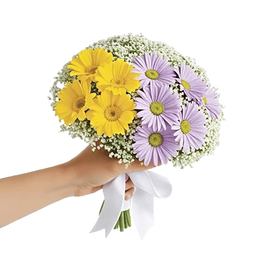 Blossom Harmony Display