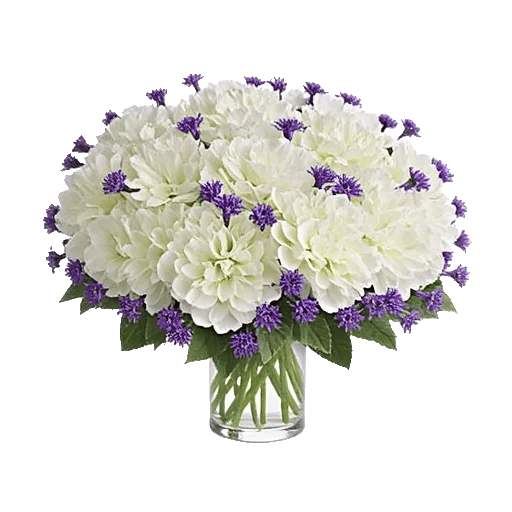 Serene Petal Harmony