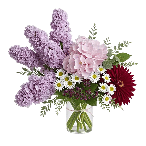 Ivory Blossom Radiance