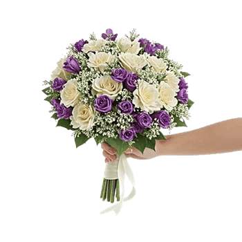 Blushing Rose Symphony