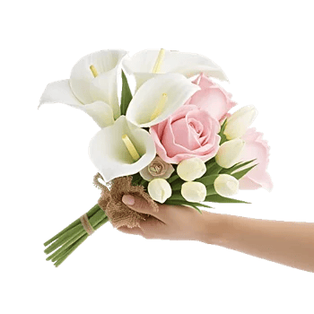 Elegant Calla Lilies