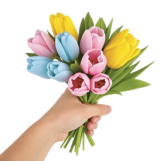 Velvet Tulip Display