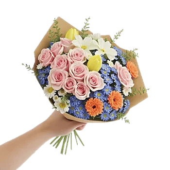 Pastel Pink Roses