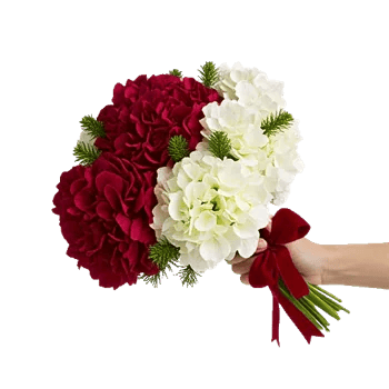 Crimson Rose Elegance