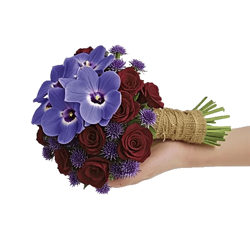 Serenity Orchid Bloom